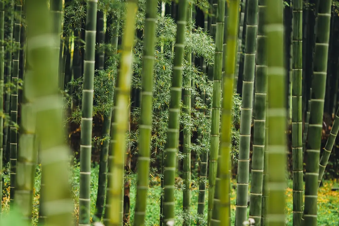 云南学校实验室通风柜选型要点及安全规范解读